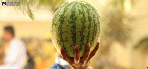 2021年娱乐吃瓜,年度吃瓜大事件盘点